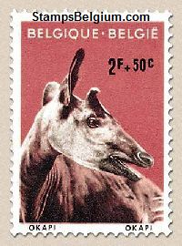 Timbre Belgique Yvert 1184