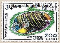 Timbre Belgique Yvert 1471 - Belgium Scott