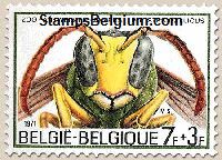 Timbre Belgique Yvert 1612