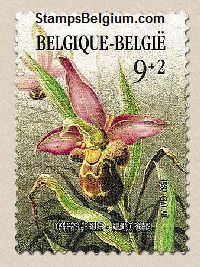 Timbre Belgique Yvert 2244