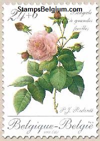 Timbre Belgique Yvert 2319