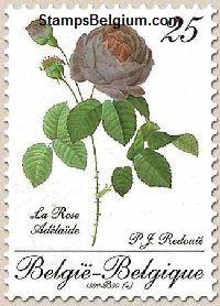 Timbre Belgique Yvert 2374