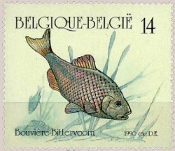 Timbre Belgique Yvert 2385