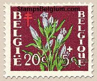 Timbre Belgique Yvert 834