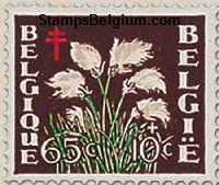 Timbre Belgique Yvert 835